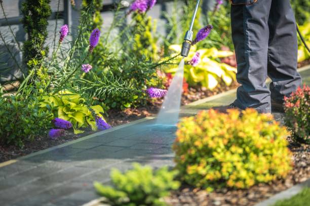 Best Spring Cleaning  in Sparta, WI